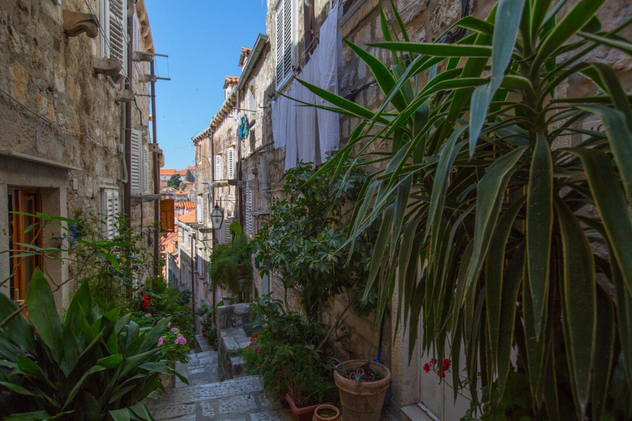 Apartman Mama Marija Ντουμπρόβνικ Εξωτερικό φωτογραφία